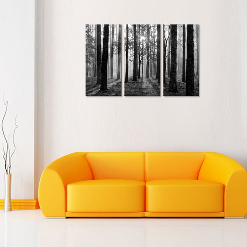 Visual Art Decor Black and White Nature Forest Landscape Picture Art Prints on Canvas Framed and Stretched Canvas Art Home Decor Living Room Wall Art - Image 4